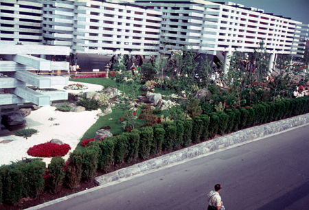 024 - Japan - garden area